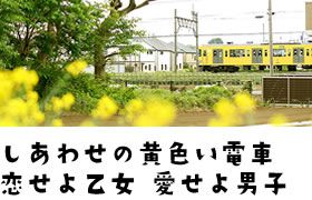 幸せの黄色い電車 恋せよ乙女 愛せよ男子