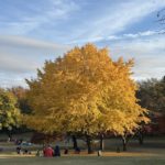 ぶんぶんウォーク④