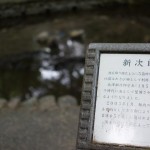 東京経済大学の敷地内にある、 新次郎池。